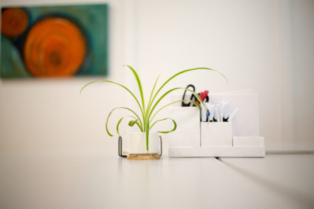 House Plant Desk