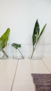 Simple Plants Vase