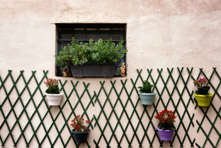 Wall Plants Exterior