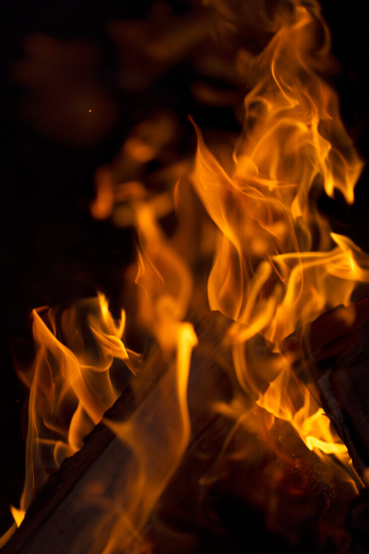 Free stock image of Fire Wood Nature