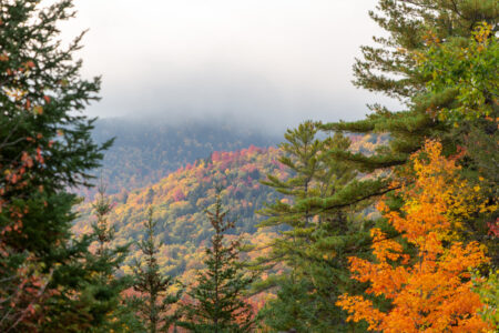 Autumn Foliage Mountains