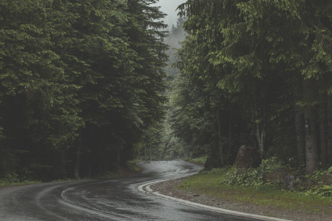 Winding Road Forest Royalty-Free Stock Photo