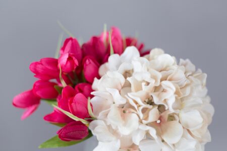 Close Up Flowers