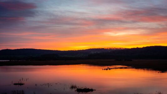 Sunset Water Evening