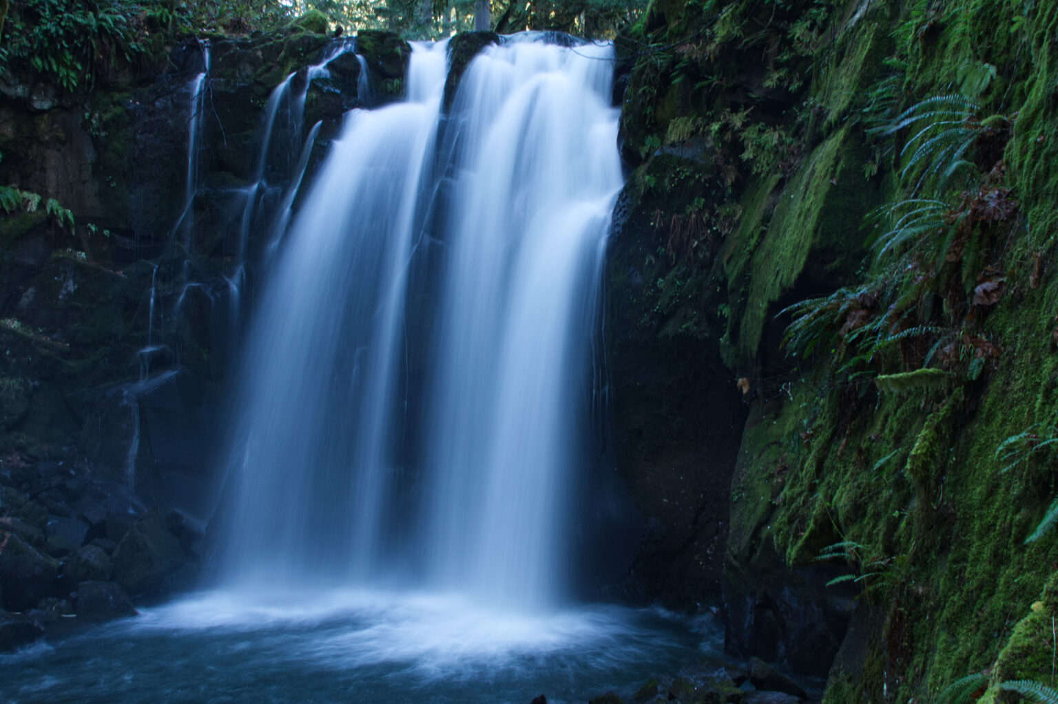 Waterfall Forest Royalty-Free Stock Photo and Image