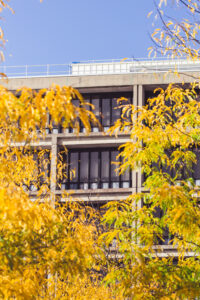 Autumn Building Facade