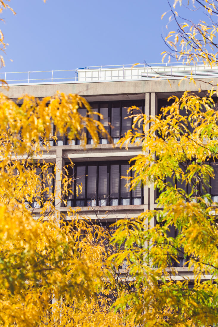 Free stock image of Autumn Building Facade