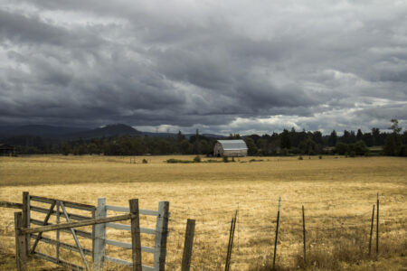 Old Barn Farm