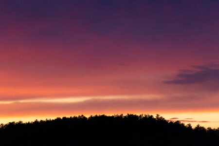 Forest Silhouette Sunset