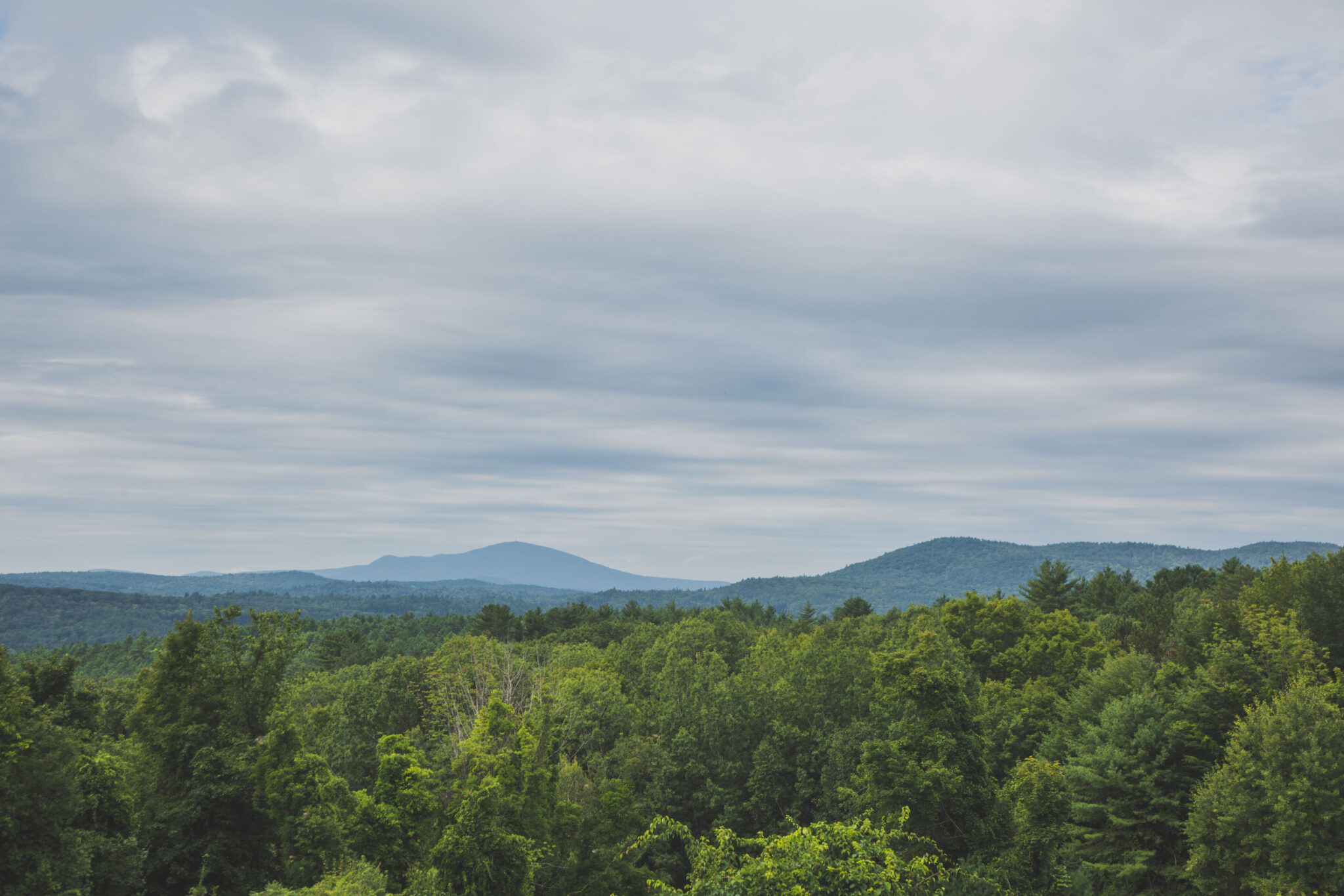 Trees Mountain Horizon Royalty Free Stock Photo