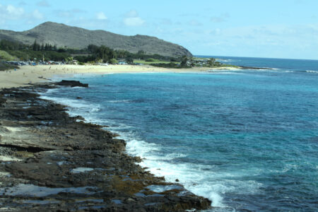 Ocean Coast Landscape