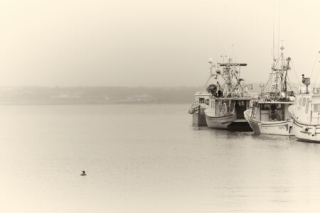 Harbor Boats Water