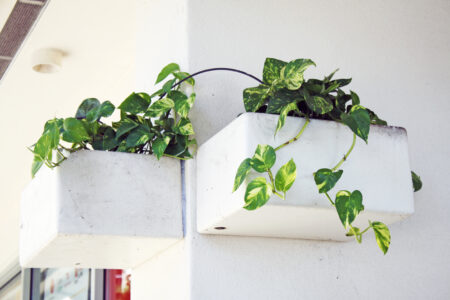 Potted Plants Planter