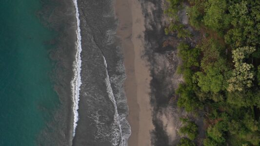 Coastal Aerial Trees