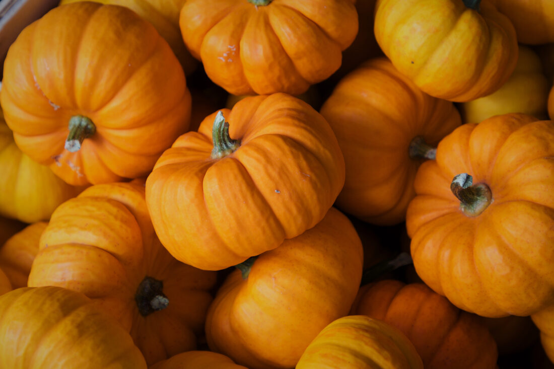 Free stock image of Fall Pumpkins Background