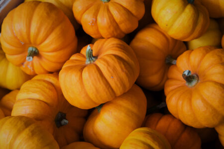 Fall Pumpkins Background