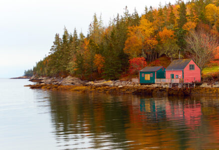 Autumn Fall Coast