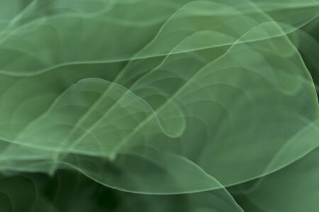 Green Abstract Background