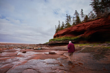 Rocky Coastal Landscape