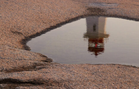 Puddle Water Reflection