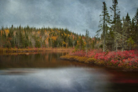 Autumn Lake Landscape