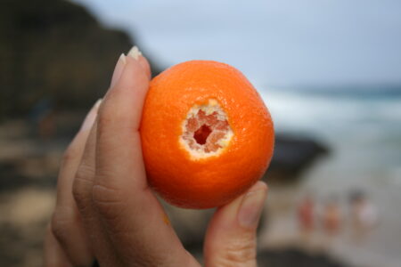 Person Holding Fruit