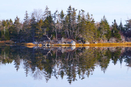 Lake Reflection Landscape