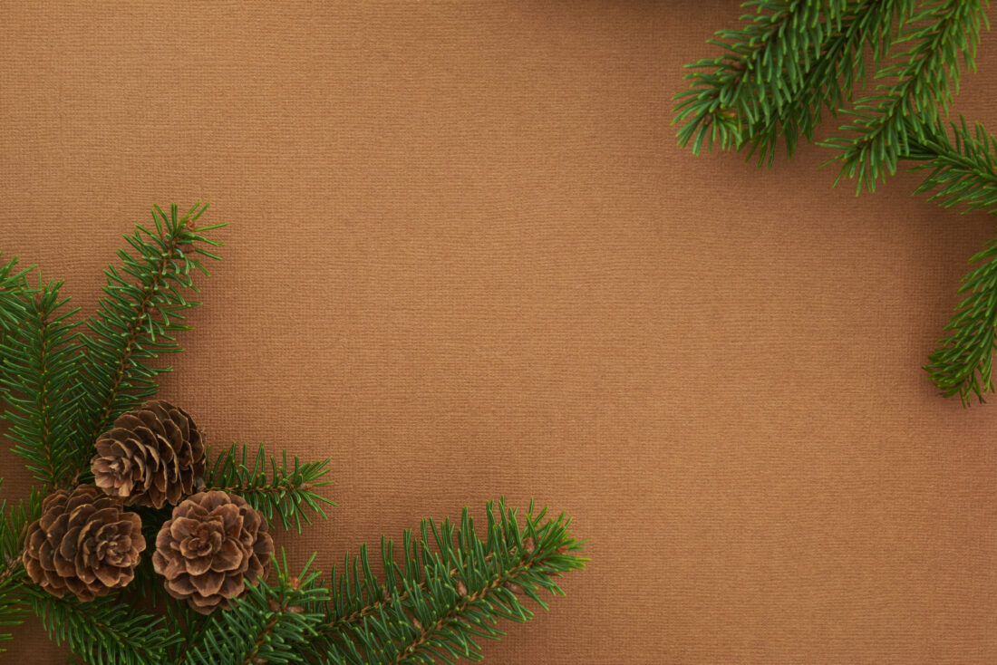 Free stock image of Christmas Seasonal Background