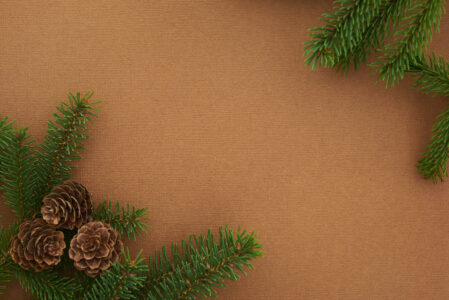 Christmas Seasonal Background