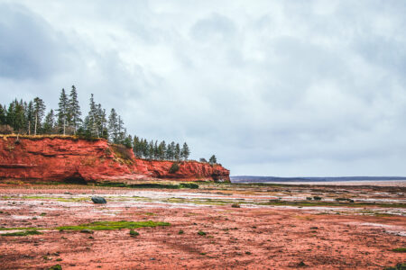 Coastal Ocean Landscape