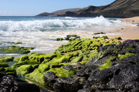 Beach Waves Coast