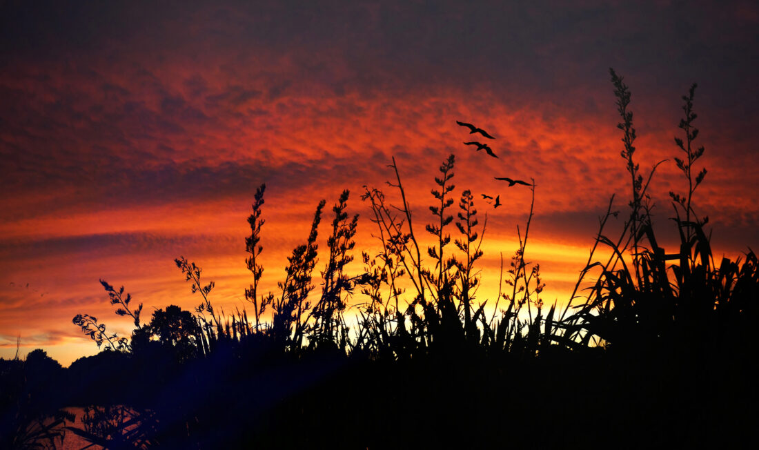 Free stock image of Dusk Evening Sky