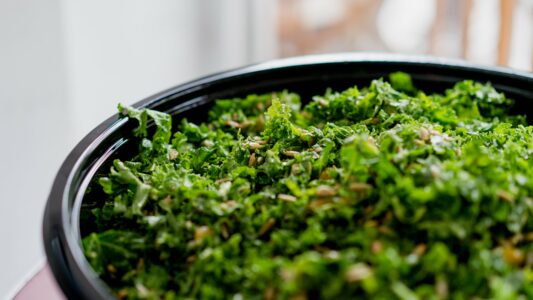 Kale Salad Food