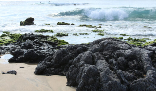 Water Rocks Shore