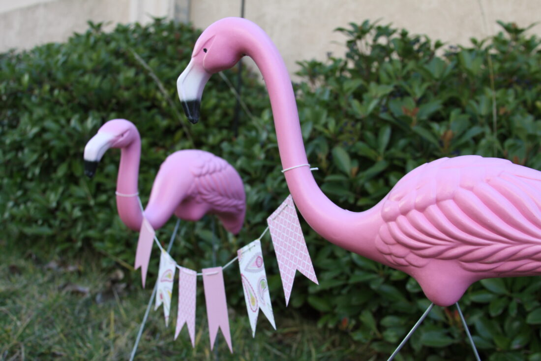 Free stock image of Pink Flamingo Decoration
