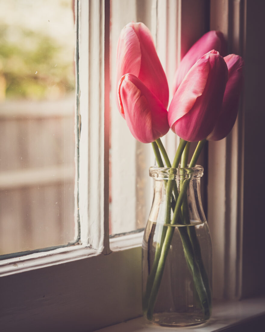 Flowers Vase Window Royalty-Free Stock Photo