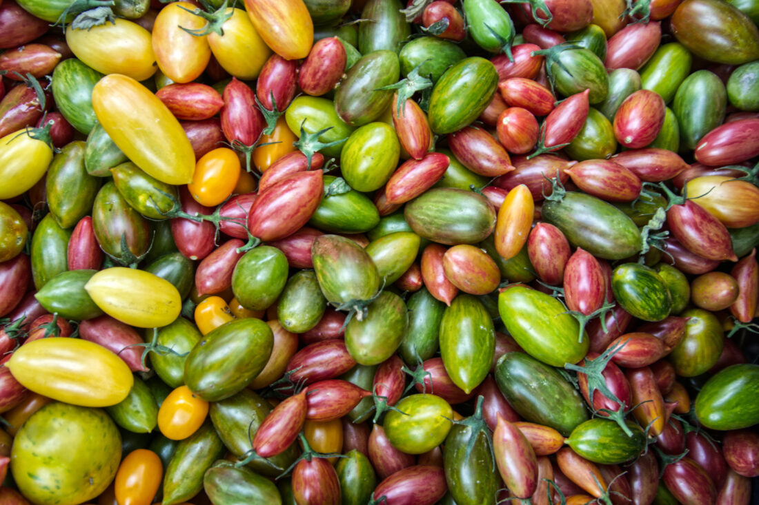 Free stock image of Colorful Tomatoes Background