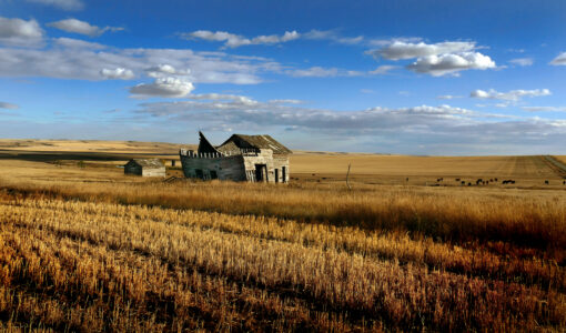 Old Barn Farm