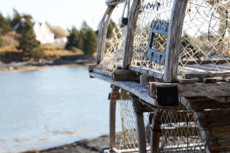 Fishing Traps Water