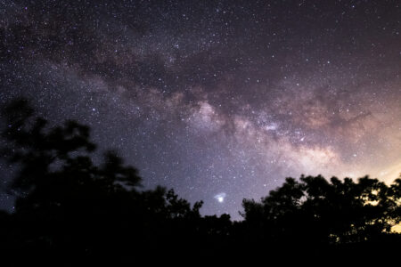 Tree Starry Night