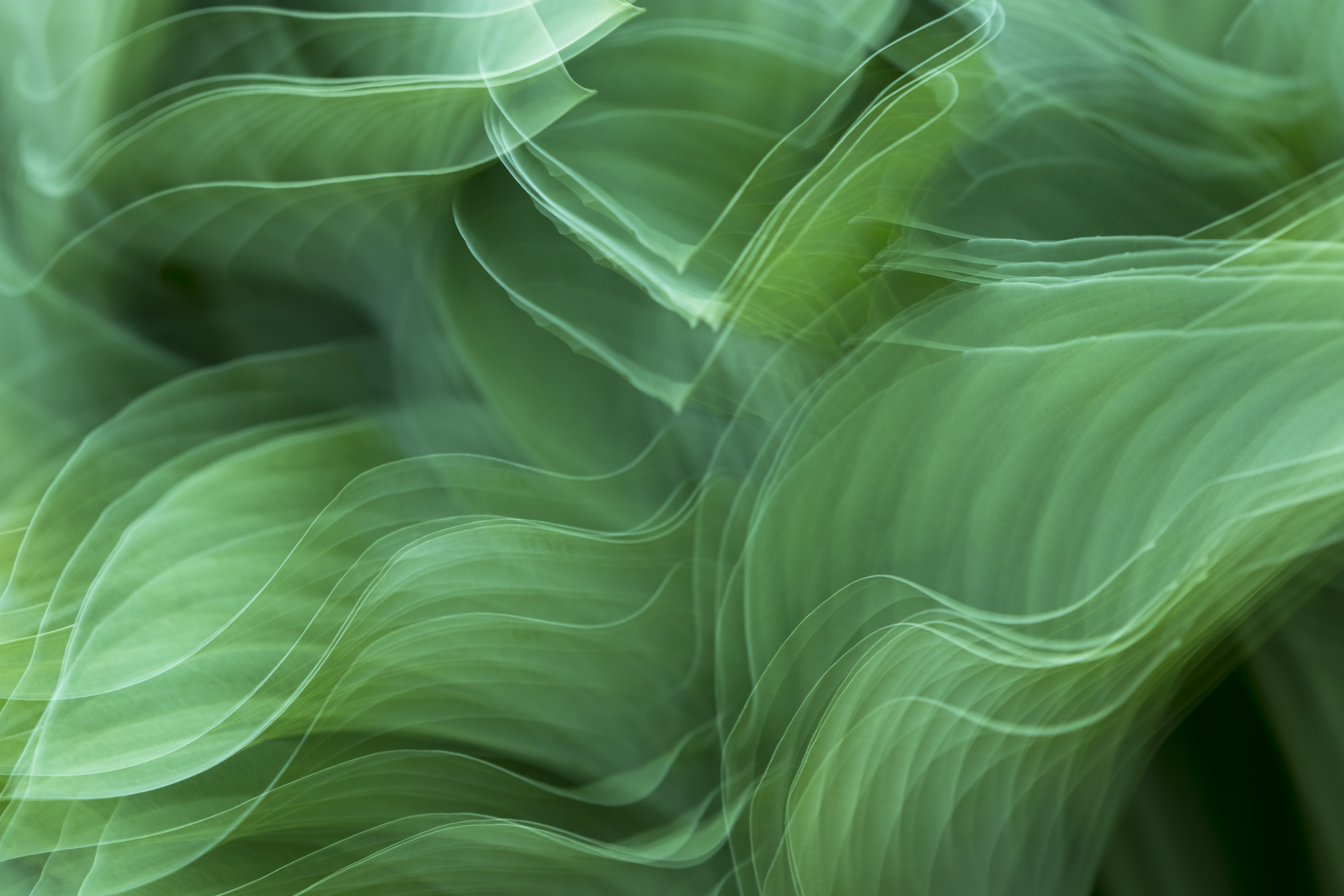 Abstract Green Background Royalty-Free Stock Photo