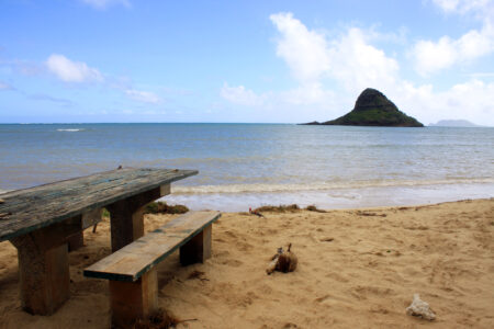 Ocean Coast Landscape