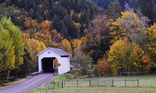 Covered Bridge Autumn