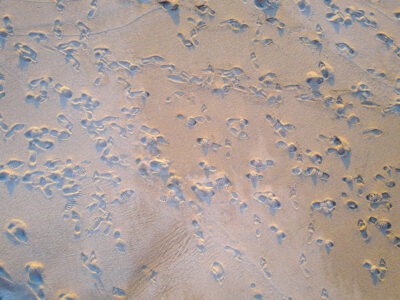 Footprints Sand Beach