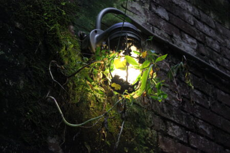 Exterior Wall Light