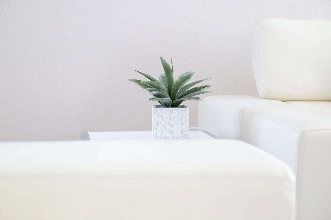 Free stock image of House Plant Interior