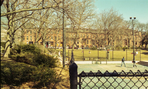 Basketball Park Public