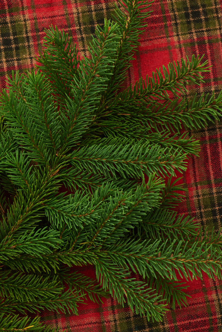 Free stock image of Christmas Background Holiday
