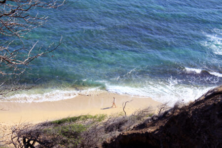 Sandy Tropical Beach