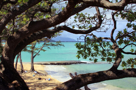 Relaxing Tropical Beach